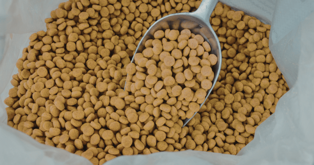 老犬のドッグフードの量