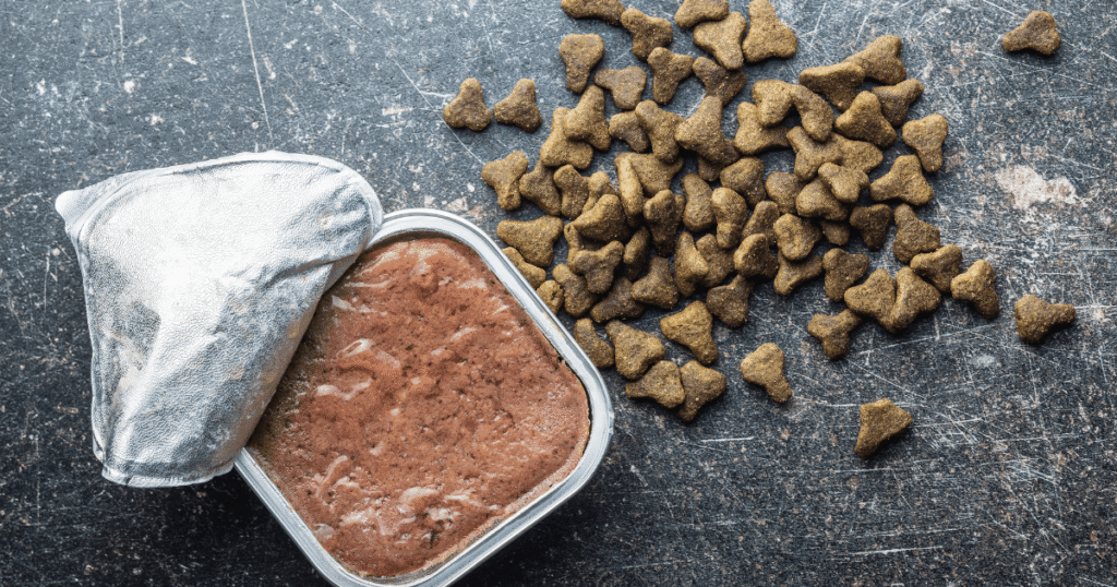 ウェットフードとドライフード