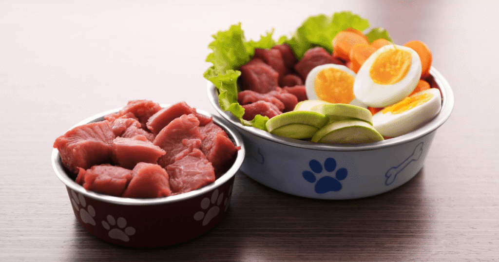 たんぱく質が多すぎるシニア犬の食事