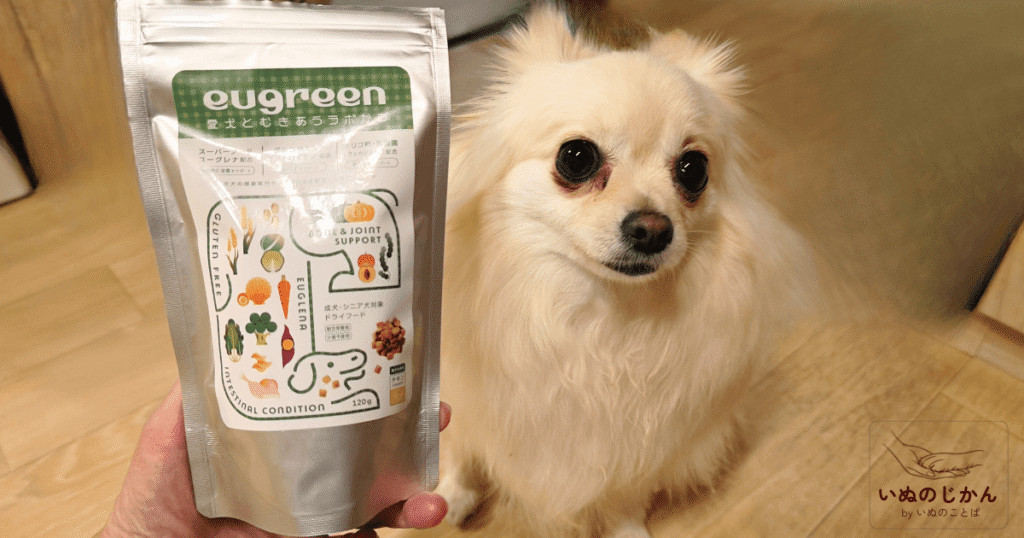 eugreenドライフードと愛犬1