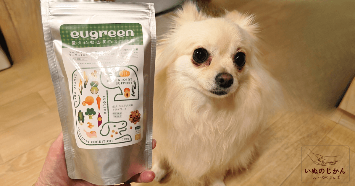 eugreenドライフードと愛犬1