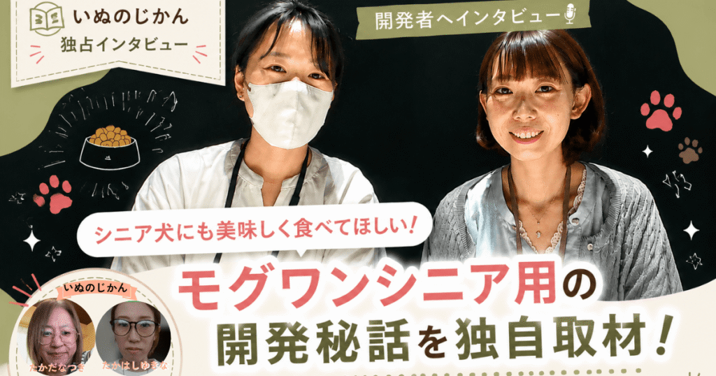 moguwan-sinior-intervew (1)
