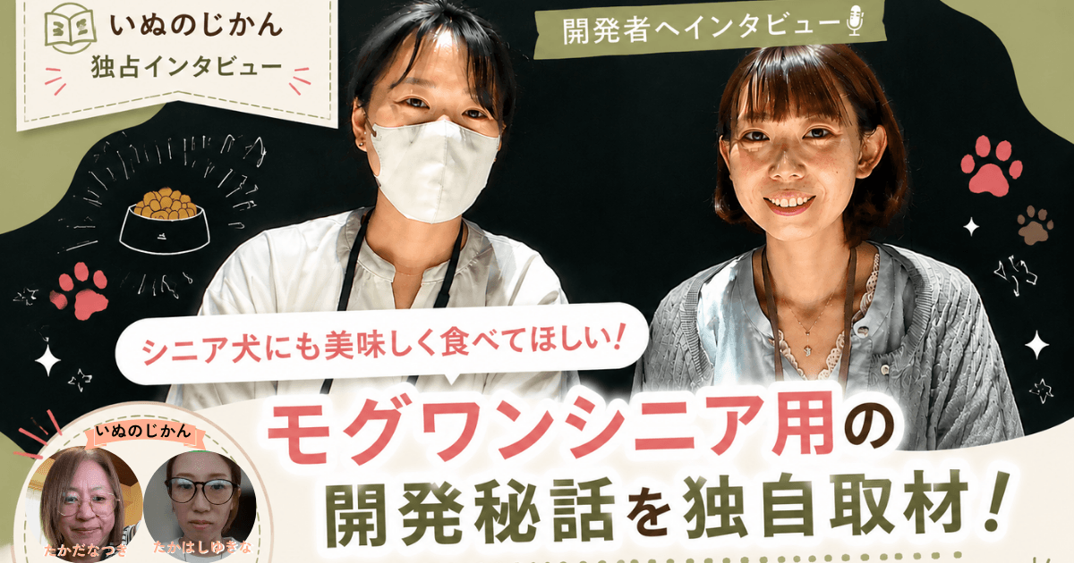 moguwan-sinior-intervew (1)