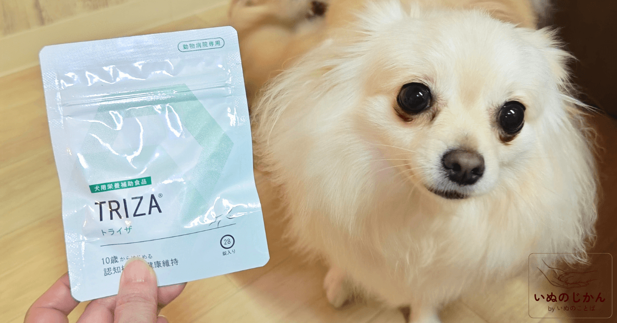 犬の認知機能の健康維持に私のおすすめサプリはこれ！「トライザ」開発