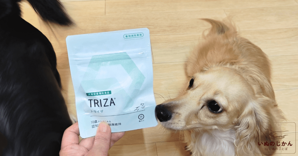 犬の認知機能の健康維持に私のおすすめサプリはこれ！「トライザ」開発