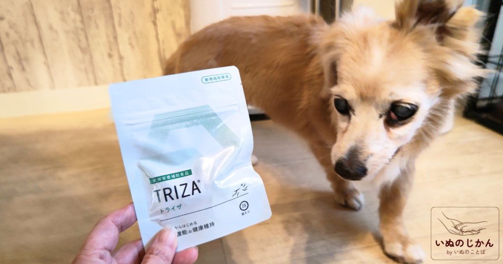 犬の認知機能の健康維持に私のおすすめサプリはこれ！「トライザ」開発