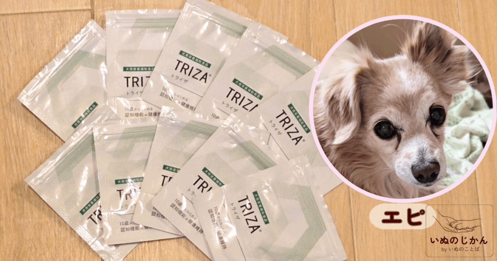 犬の認知機能の健康維持に私のおすすめサプリはこれ！「トライザ」開発