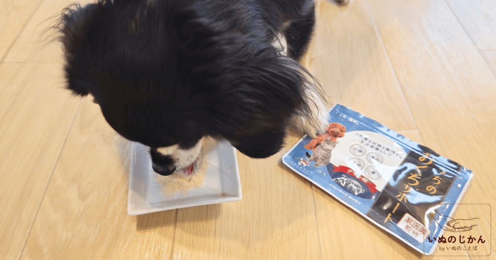 うちのお口サポートを食べるチワックス