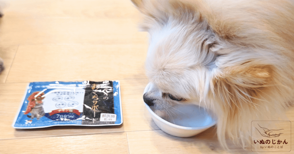 うちのお口サポートを食べるポメチワ