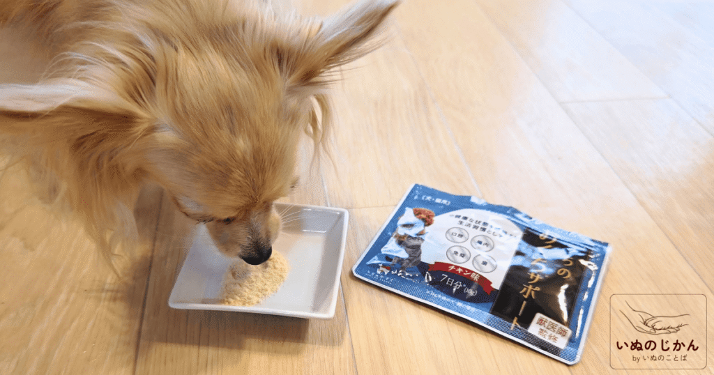うちのお口サポートを食べるチワックス